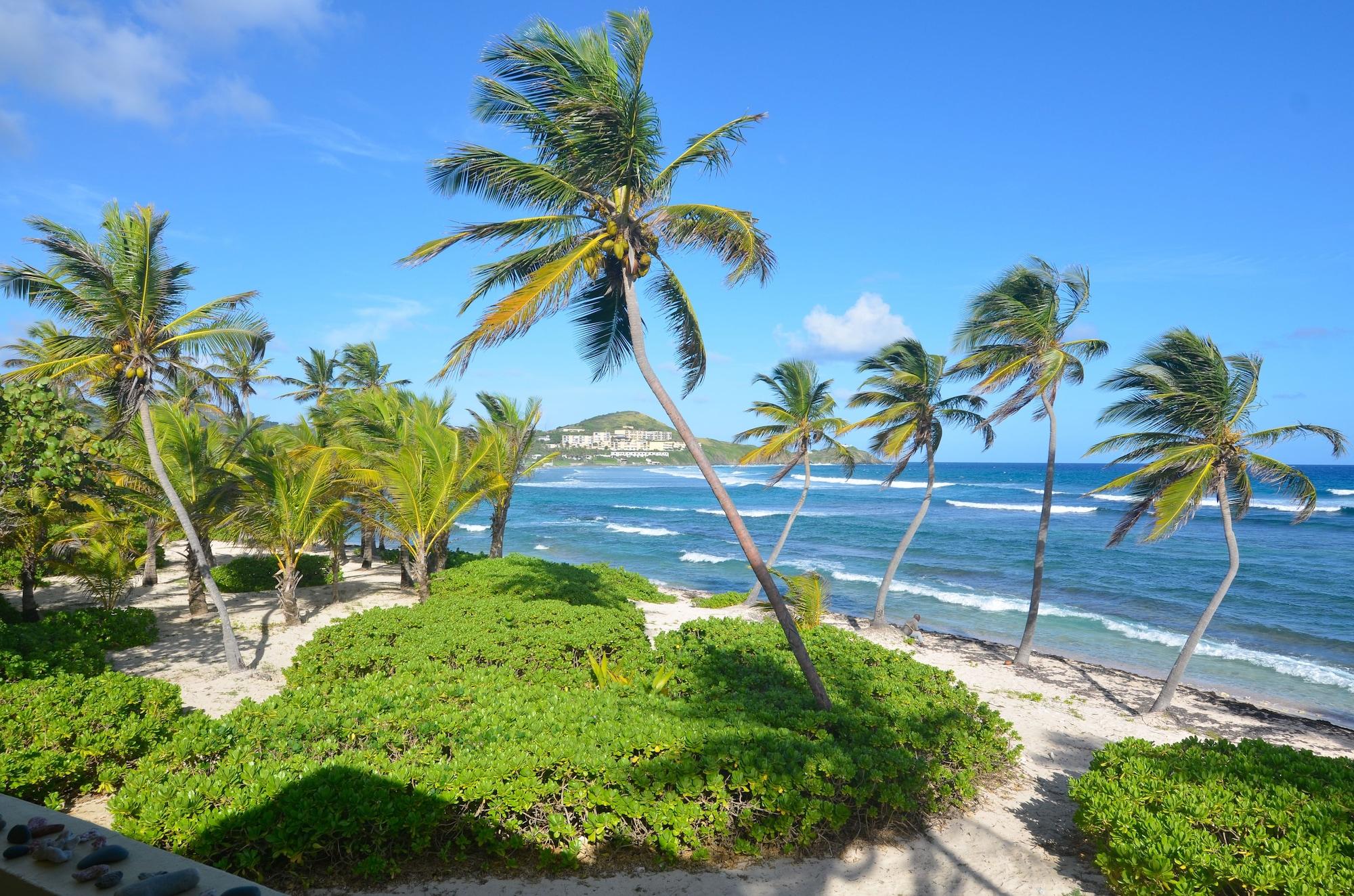 The Palms At Pelican Cove (Adults Only) La Grande Princesse المظهر الخارجي الصورة