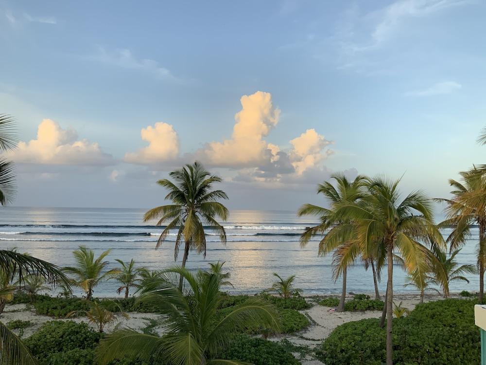 The Palms At Pelican Cove (Adults Only) La Grande Princesse المظهر الخارجي الصورة